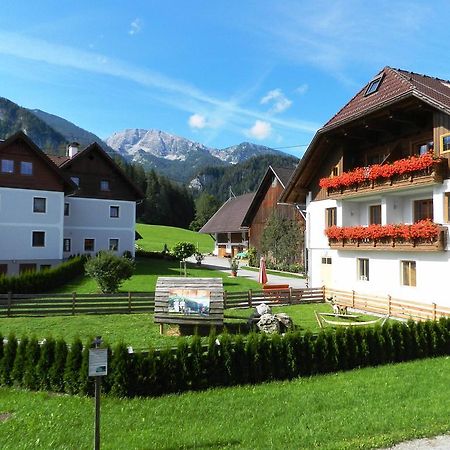 Baby- Und Kinderbauernhof Riegler Rossleithen Exterior foto