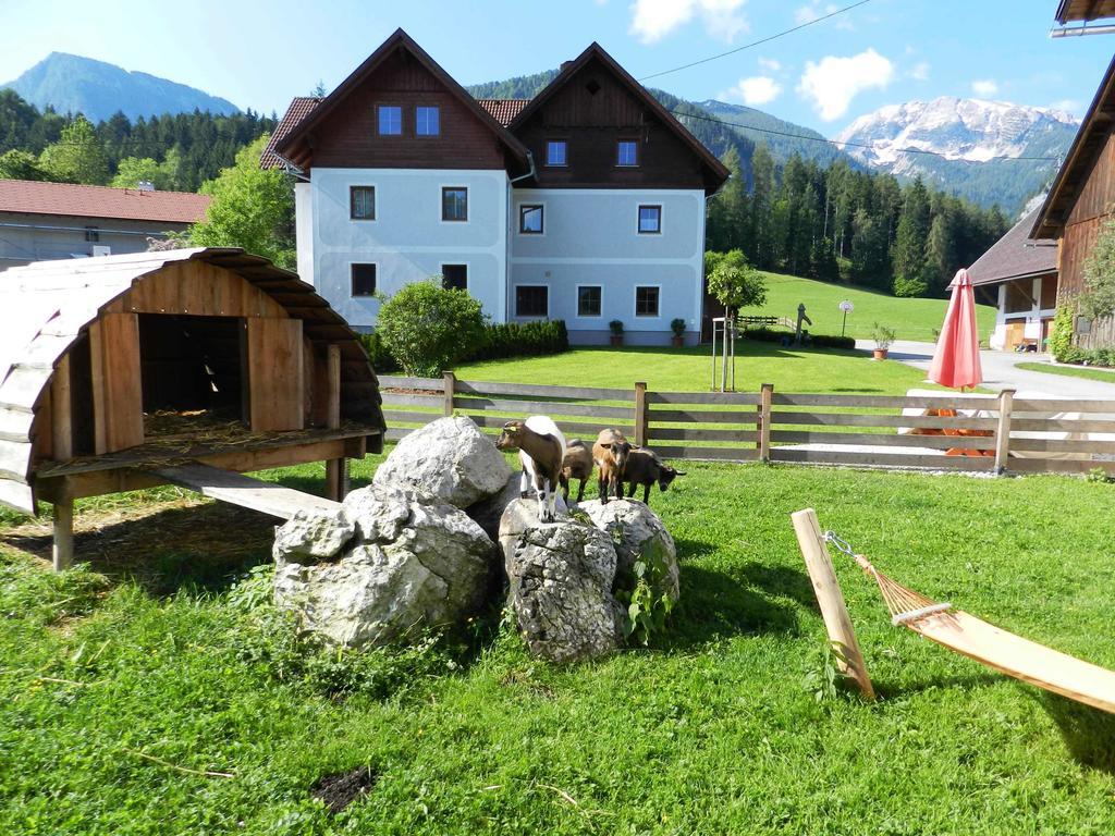 Baby- Und Kinderbauernhof Riegler Rossleithen Exterior foto