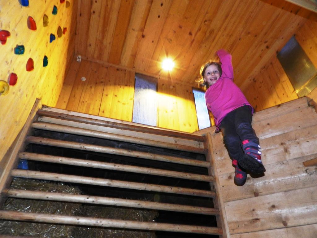 Baby- Und Kinderbauernhof Riegler Rossleithen Exterior foto
