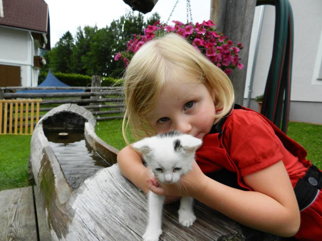 Baby- Und Kinderbauernhof Riegler Rossleithen Exterior foto